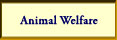 Animal Welfare